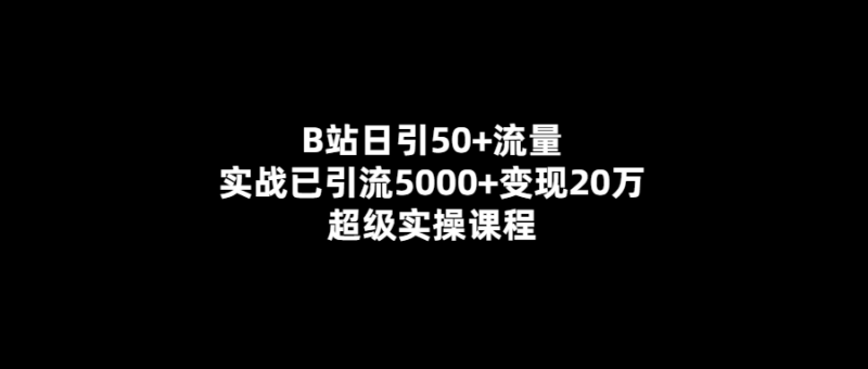 B站日引50+流量-實戰引流5000+變現20萬的超級課程！-愛分享導航