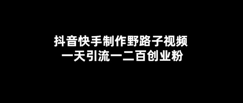 野路子視頻制作教程_一天引流一二百創業粉！-愛分享導航