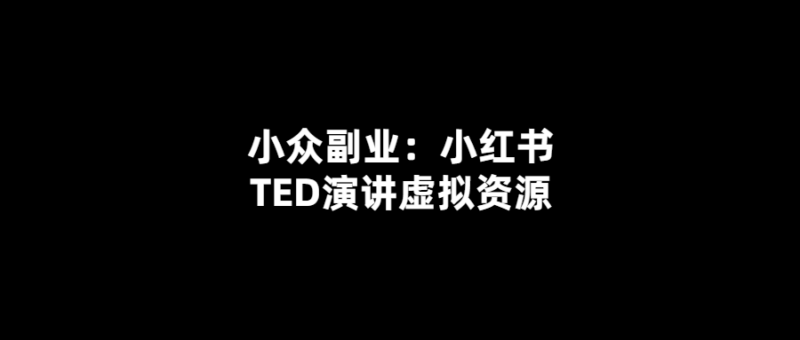 TED演講虛擬資源：小紅書上的小眾副業(yè)-愛分享導(dǎo)航