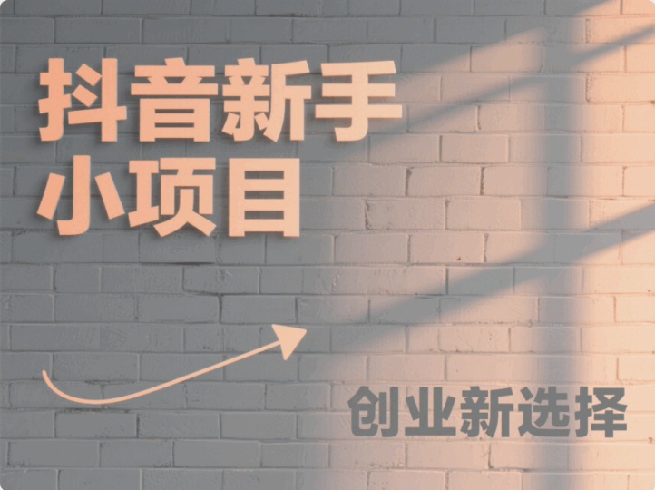抖音小項目,適合新手做的創業項目-愛分享導航